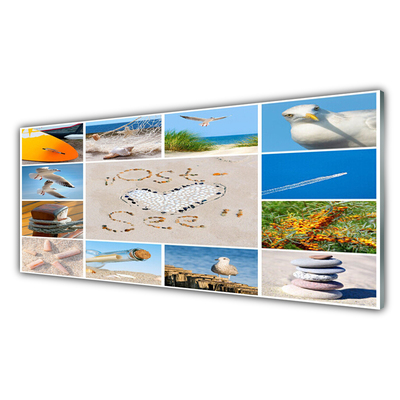 Cuadro en plexiglás Océano playa gaviotas paisaje