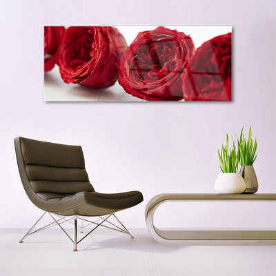 Cuadro en plexiglás Rosas flores planta