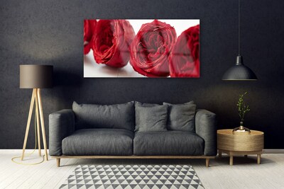 Cuadro en plexiglás Rosas flores planta
