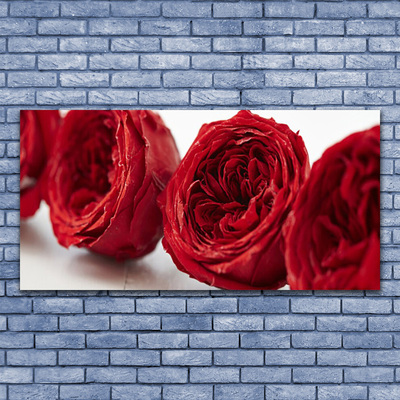 Cuadro en plexiglás Rosas flores planta