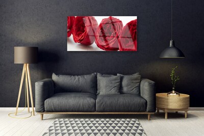 Cuadro en plexiglás Rosas flores planta