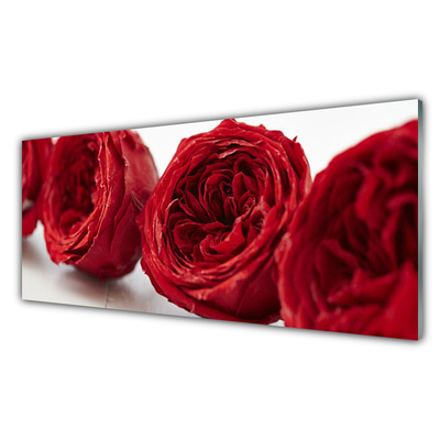 Cuadro en plexiglás Rosas flores planta