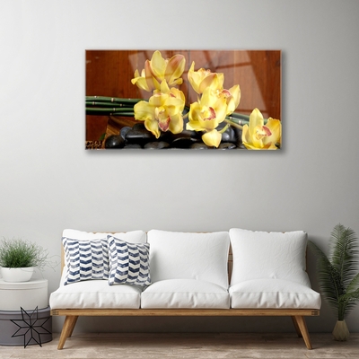 Cuadro en plexiglás Flor orquídea planta