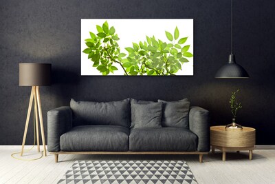 Cuadro en plexiglás Rama hojas planta naturaleza