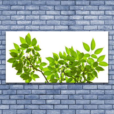 Cuadro en plexiglás Rama hojas planta naturaleza