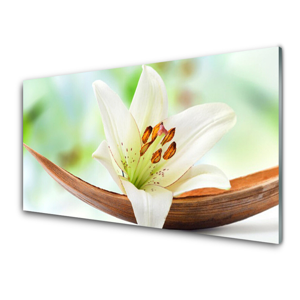 Cuadro en plexiglás Flor planta naturaleza