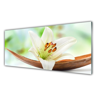 Cuadro en plexiglás Flor planta naturaleza