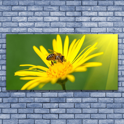 Cuadro en plexiglás Abeja flor naturaleza