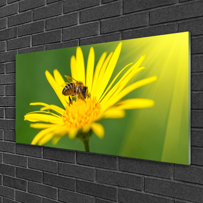 Cuadro en plexiglás Abeja flor naturaleza