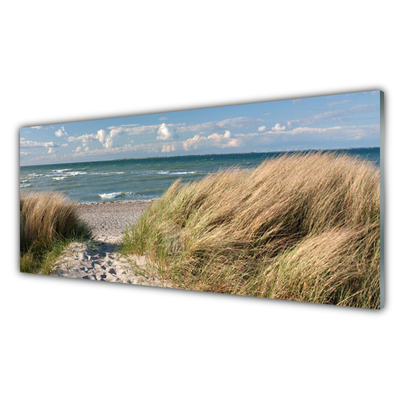 Cuadro en plexiglás Playa mar hierba paisaje