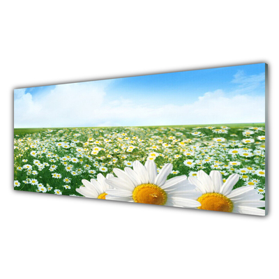 Cuadro en plexiglás Chiribitas flores prado campo