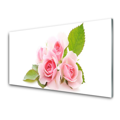 Cuadro en plexiglás Rosas flores planta naturaleza
