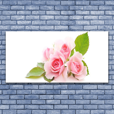 Cuadro en plexiglás Rosas flores planta naturaleza