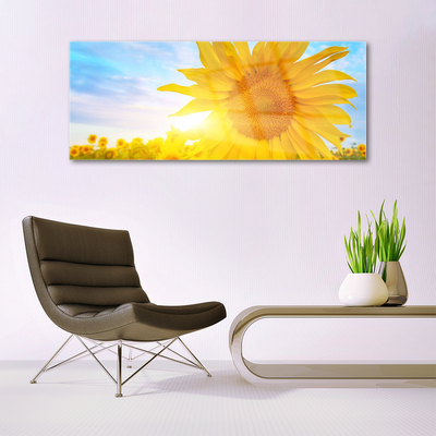 Cuadro en plexiglás Girasol flor sol
