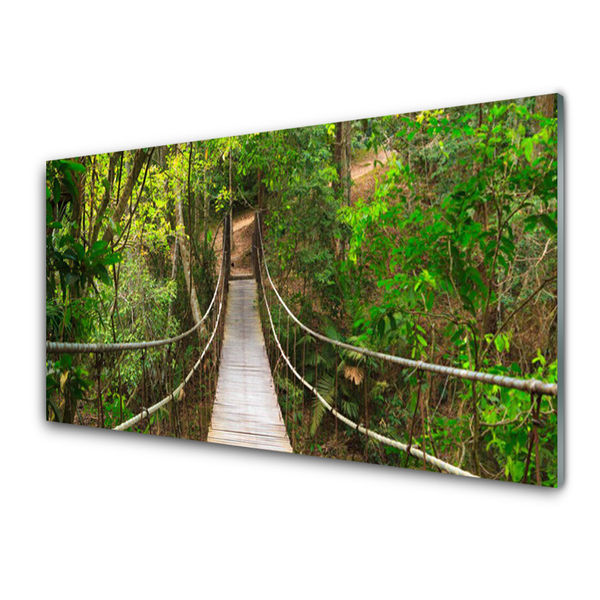 Cuadro en plexiglás Puente jungla bosque tropical