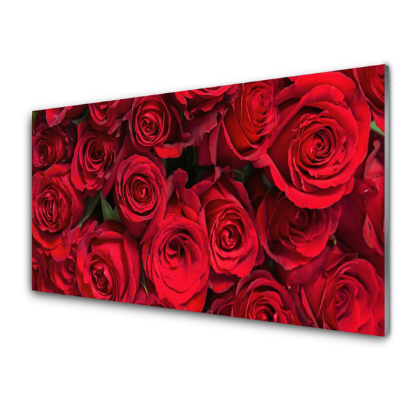 Cuadro en plexiglás Rosas rojas flores naturaleza