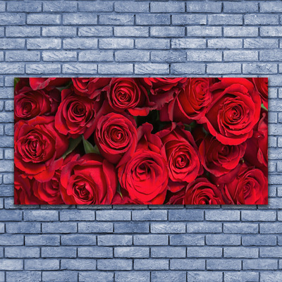 Cuadro en plexiglás Rosas rojas flores naturaleza