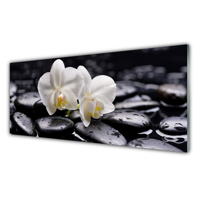 Cuadro de cristal acrílico Zen orquídea blanca spa