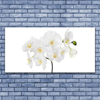 Cuadro de cristal acrílico Orquidea blanca flores