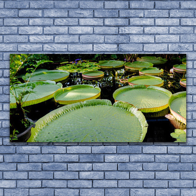 Cuadro de cristal acrílico Hojas lago naturaleza