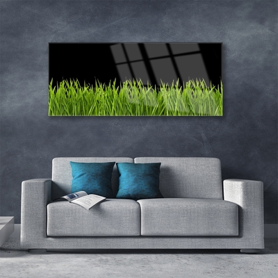 Cuadro de cristal acrílico Hierba verde naturaleza