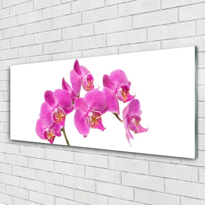 Cuadro de cristal acrílico Orquídea flores naturaleza