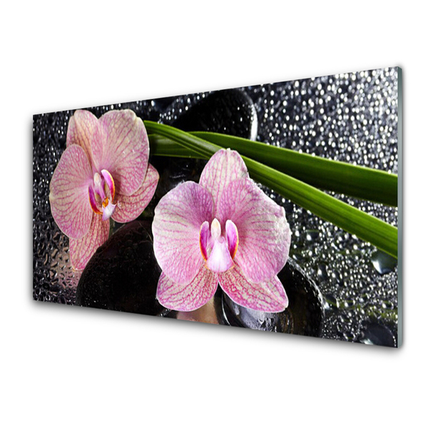 Cuadro de cristal acrílico Flores orquídea zen