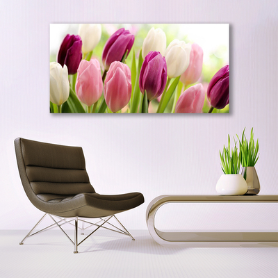 Cuadro de cristal acrílico Tulipanes flores naturaleza prado
