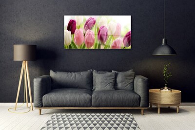 Cuadro de cristal acrílico Tulipanes flores naturaleza prado