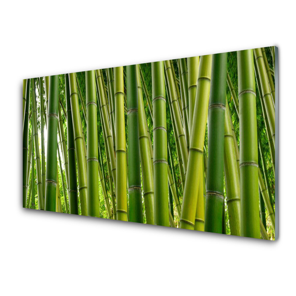 Cuadro de cristal acrílico Bosque de bambú brotes de bambú