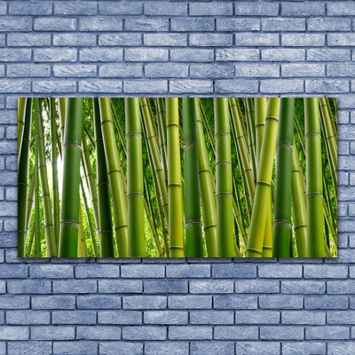 Cuadro de cristal acrílico Bosque de bambú brotes de bambú