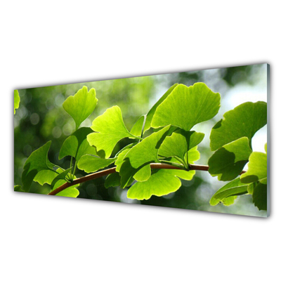 Cuadro de cristal acrílico Ramas hojas naturaleza árbol