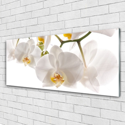 Cuadro de cristal acrílico Orquídea flores naturaleza