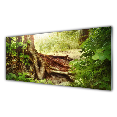 Cuadro de cristal acrílico Árbol tronco naturaleza bosque