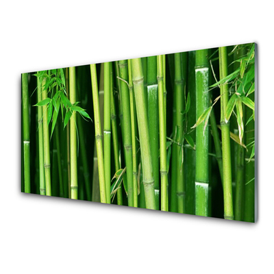 Cuadro de cristal acrílico Bosque de bambú naturaleza