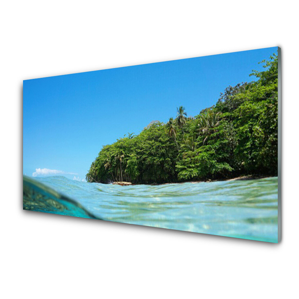 Cuadro de cristal acrílico Mar árbol paisaje