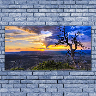 Cuadro de cristal acrílico Árbol puesta del sol