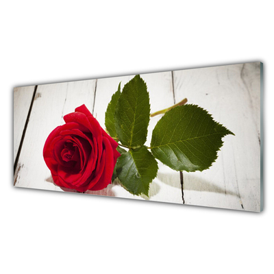 Cuadro de cristal acrílico Rosa flor planta naturaleza