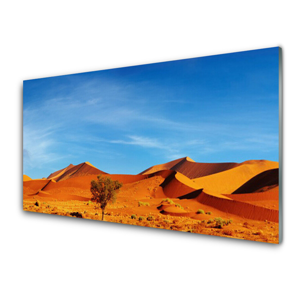 Cuadro de cristal acrílico Desierto paisaje arena