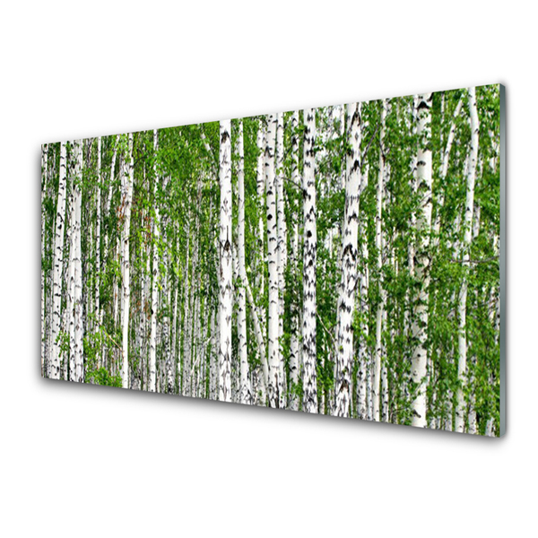Paneles de pared Abedul bosque arboles naturaleza