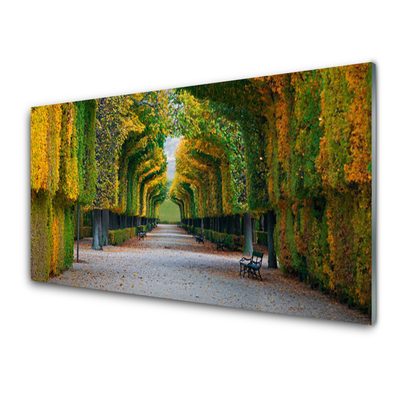 Paneles de pared Parque otoño jardín naturaleza