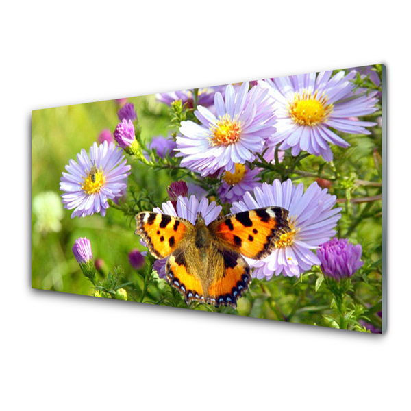 Paneles de pared Flores mariposa planta naturaleza