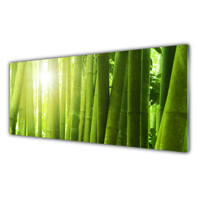 Paneles de pared Bambú planta