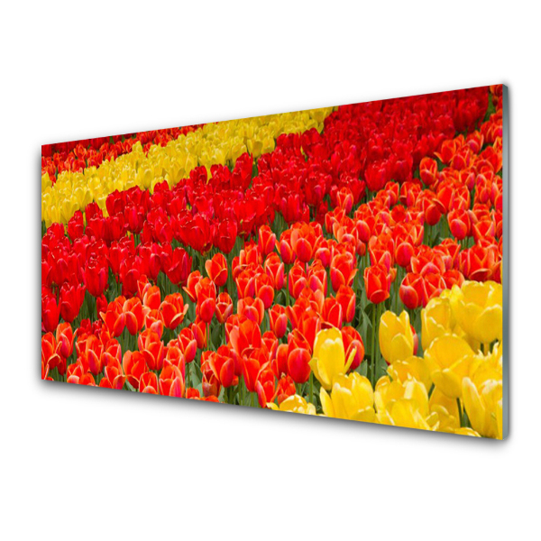 Paneles de pared Tulipanes flores