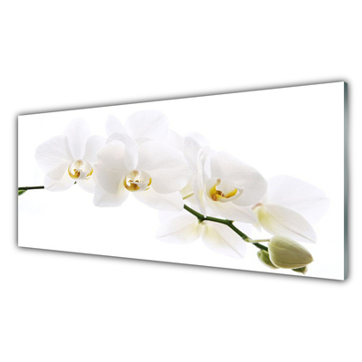 Paneles de pared Flores orquídea