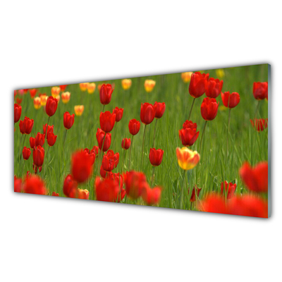 Paneles de pared Tulipanes flora
