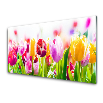 Paneles de pared Tulipanes flores