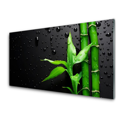 Paneles de pared Bambú hojas planta