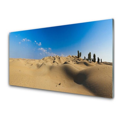 Paneles de pared Desierto paisaje arena