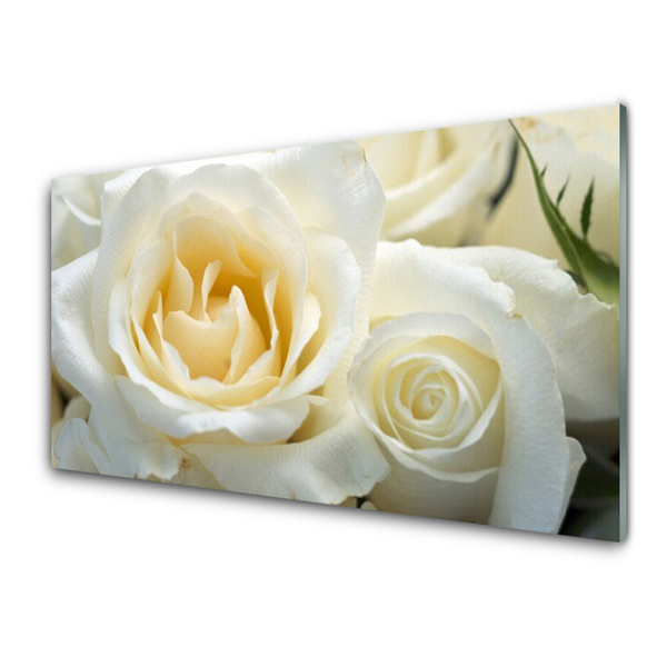 Paneles de pared Rosas flores